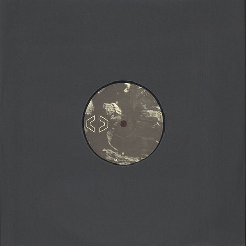 DJ Stingray 313 - Cognition [LP07]
