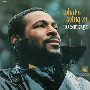 Marvin Gaye - What's Going On [5353423]