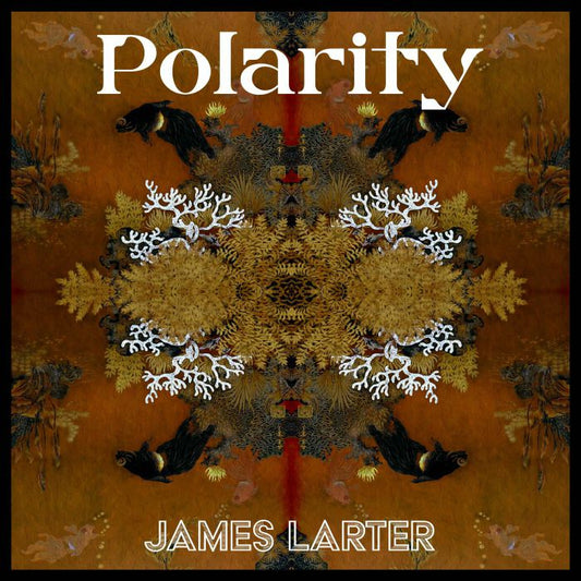 James Larter - Polarity [NDR001]