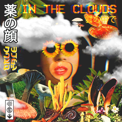 Drugface - In The Clouds [MC042]